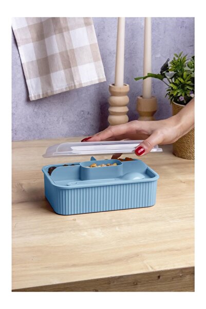 Milena Life Striped 5 Compartment Lunch Box with Fork and Spoon Transparent Lid Leakproof Lunch Box School Office 1 Piece