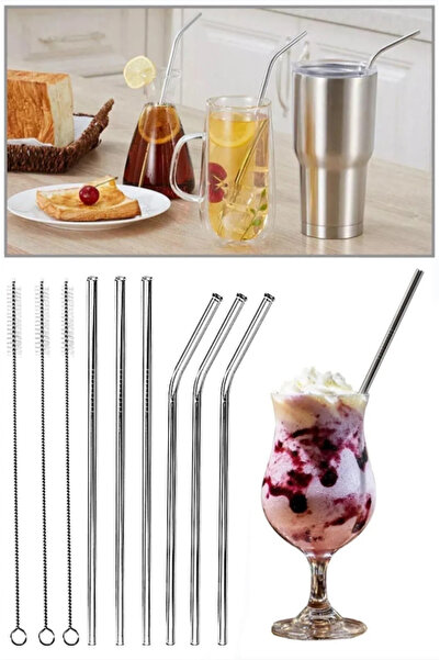 TUMU LIFE 6'lı Paslanmaz Çelik Pipet ve 3 Adet Temizleme Fırçası