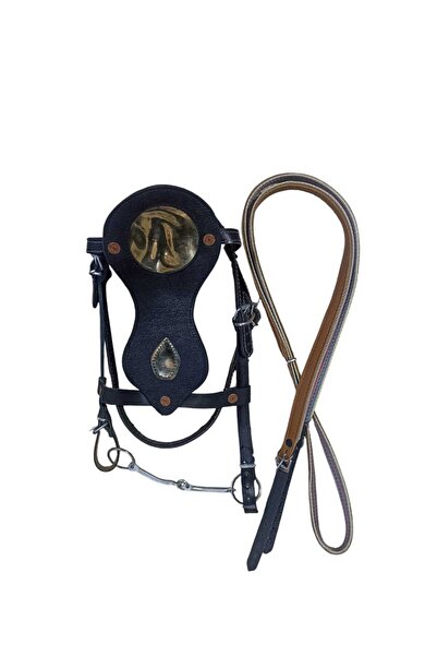 Akbasaraciye At başlığı