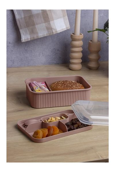 Impress Striped 5 Compartment Lunch Box with Fork and Spoon, Leakproof Lunch Box with Transparent Lid, School Office, 1 Piece