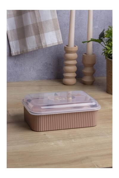 Impress Striped 5 Compartment Lunch Box with Fork and Spoon, Leakproof Lunch Box with Transparent Lid, School Office, 1 Piece