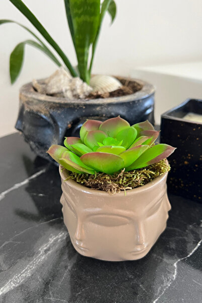 ardesta Vază figurată din pulbere de piatră realizată manual + suculente arti...