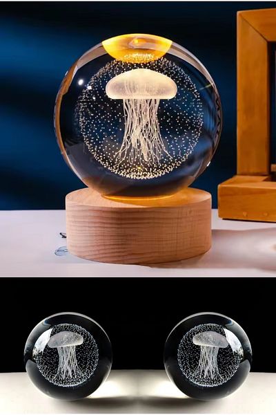 Wolawood Premium Crystal Glass Snow Globe 3D Lighted Figurine Lamp Wooden Base Led Decorative USB Gift Set