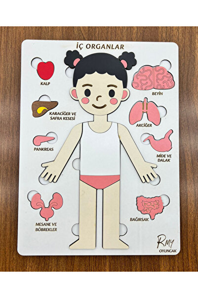 RMY Montessori Ahşap İç Organlar Bul-Tak Eğitim Seti Kız