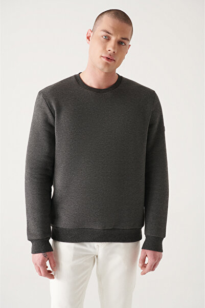 Avva Чоловічий антрацитовий велосипедний комір 3 нитки Шардоне з принтом Світшот A22Y1105