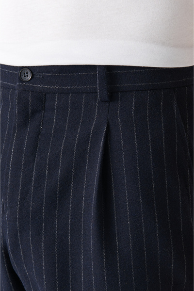 Avva Navy Blue Striped Woolen Pleated Suit and Pants - A22Y3006