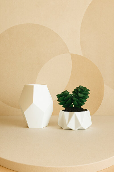 Florero Modern Cactus Pot and Mini Vase