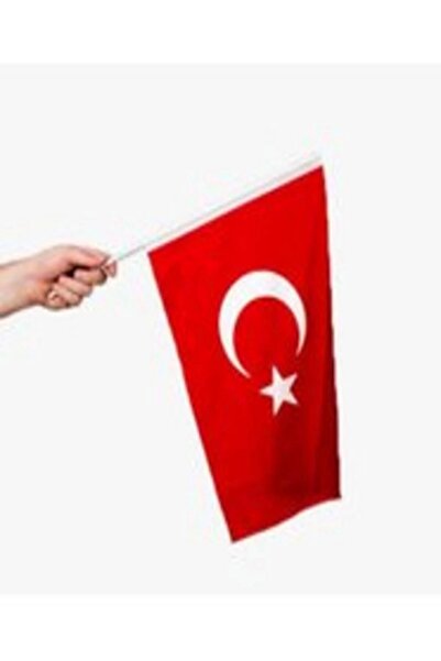 Vatan Bayrak Sopalı Bez Bayrak (20*30 CM)