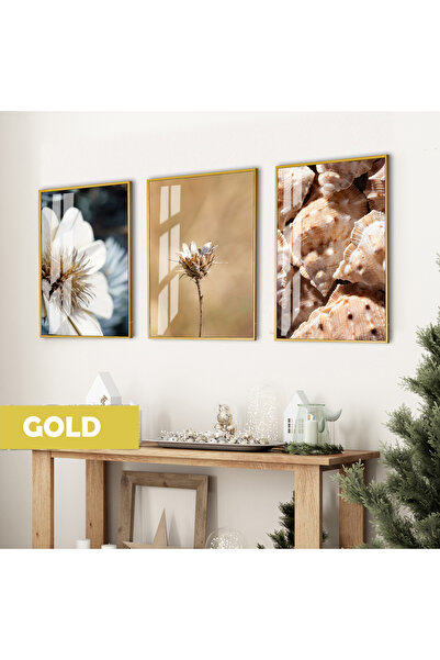 Harika bir ev ΥΠΕΡΑΣΤΗ | ΣΥΝΔΥΑΣΜΟΣ ΜΑΛΑΚΟ ΛΟΥΛΟΥΔΙΟ-ΚΟΝΚΑΛΙ (ΚΑΦΕ) | ΓΥΑΛΙ Τ...