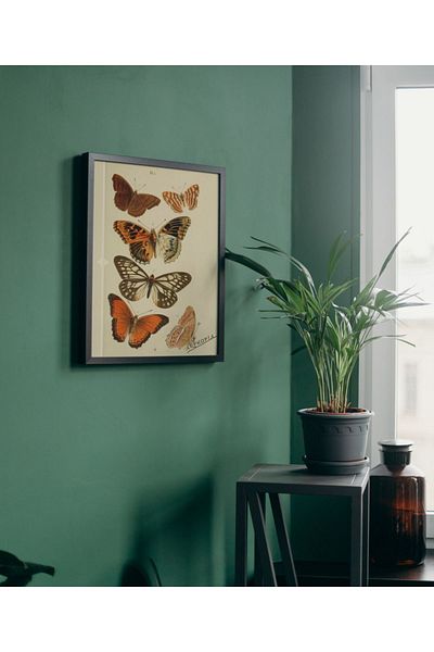 Arthopia Αφίσα Pinterest με αποξηραμένη πεταλούδα με κορνίζα Υψηλής ποιότητας διακοσμητικό σχέδιο ζωγραφικής