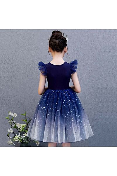 Generic Girls Gradient Starry Lace Dress Princess Dress Princess Party Costume 110cm