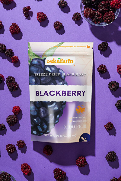 Genel Markalar Sekafarm Dondurularak Kurutulmuş Böğürtlen 20 g – Freeze Dry Meyve Cipsi