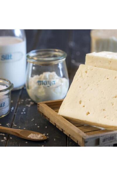 Ariste Tam Yağlı İzmir Tulum Peyniri 300 gr –Dinlendirilmiş
