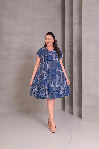 Ebsumu Women's Plus Size Sleeveless Printed Woven Blue Dress