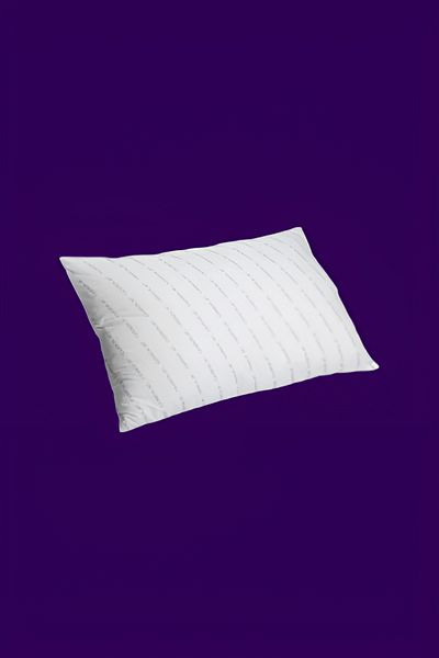 Cannon Polyester Hypoallergenic Mildew Resistant Luxury Queen Pillow White 30inch