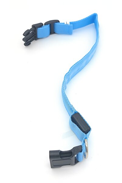 SPELT Neon Led Işıklı Pilli Aydınlatmalı Tasma Kedi Köpek Ayarlanabilir Boyun Tasması Large