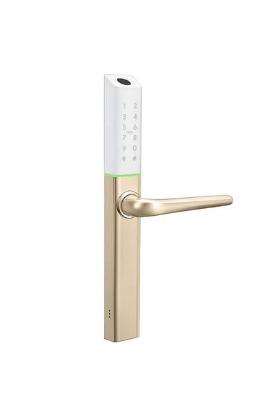 AREB Smart Lock Narrow Gold 30 * 85 – 5 Unlocking Methods, Auto-lock, Anti-theft Security For Home