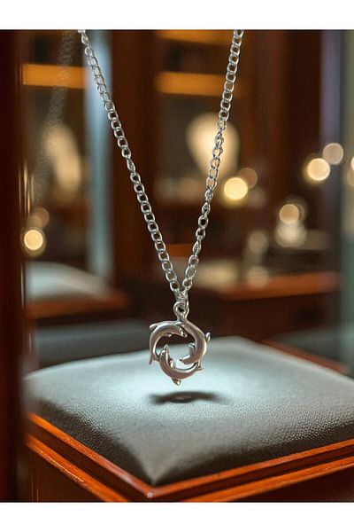 VerdeHome Dolphin Figured Necklace – Silver Color Steel Chain, Circular Sea Themed Design, Elegant and Meaningful