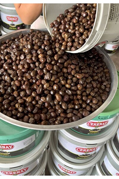 CERENAY ZEYTİNCİLİK Az Tuzlu Gemlik Yağlı Sele Sofralık Siyah Kahverengi Zeyt...
