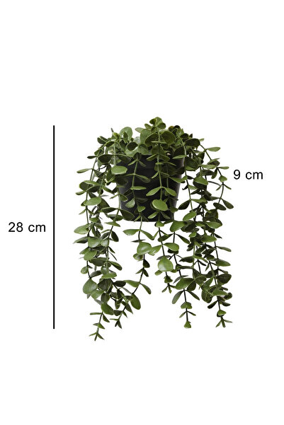 Mottogo Yapay Bitki Saksıda Sarkan Okaliptus