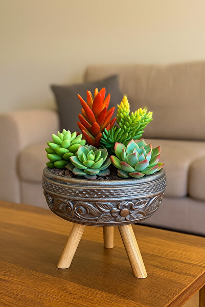 Home Ahşap Ayaklı Sukulent ve Kaktüs Saksısı