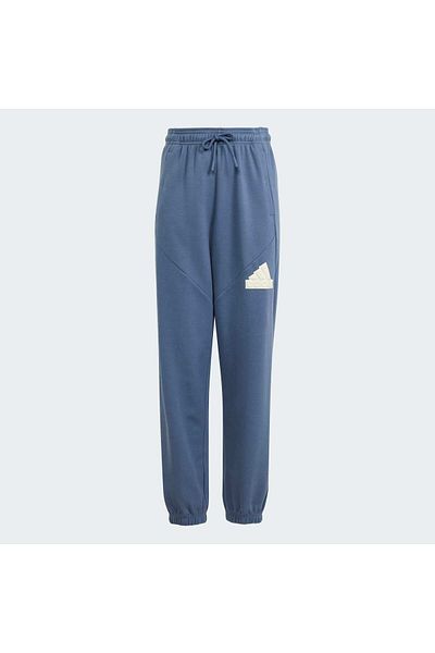 adidas Pantaloni de trening Future Icons Logo