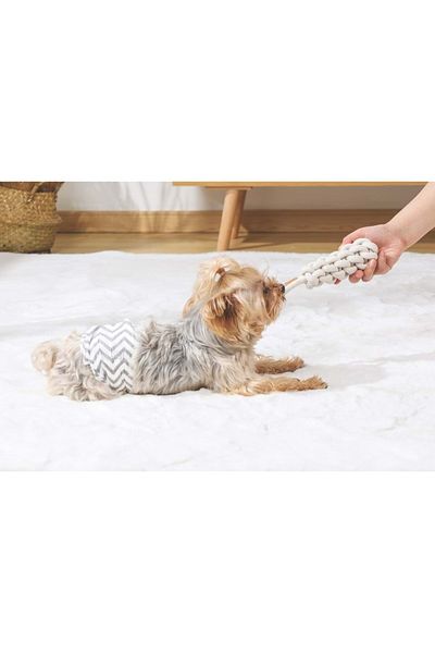 M-PETS Coto White Loop Bar 22cm Knitting Toy