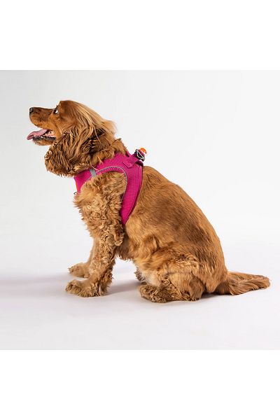 Pawstar الفوشيه شبكة الهواء طوق الصدر القط طوق الصدر الكلب