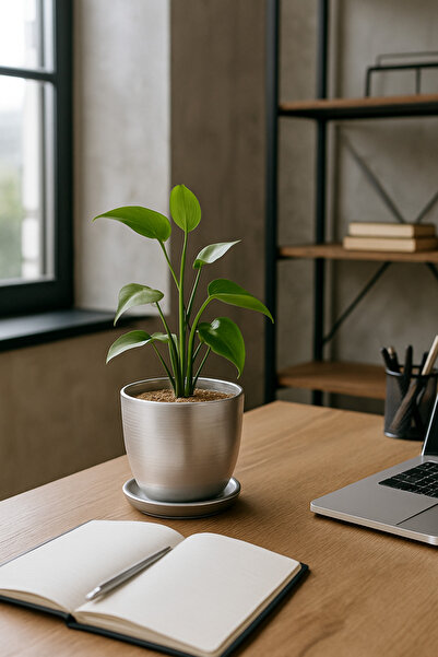 Evdek Tabaklı Gümüş Çömlek Saksı 19x19 Cm