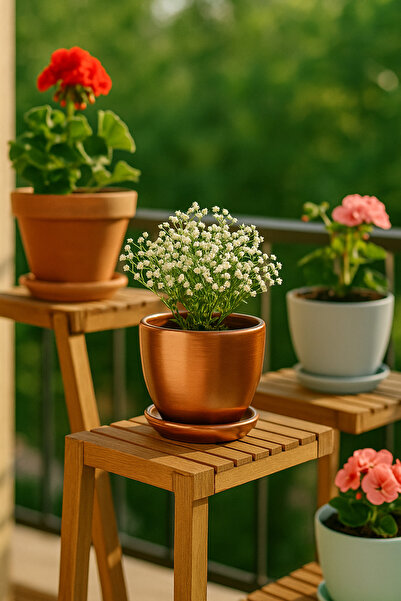 Evdek Tabaklı Bronz Çömlek Saksı 19x19 Cm