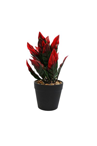 Ella Home Italia Artificial Arrangement, Red, Plastic, 22cm - Red, Plastic, 22cm