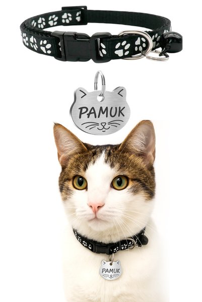 dekoliva Paslanmaz Çelik İsimlik ve Kedi Tasması Seti