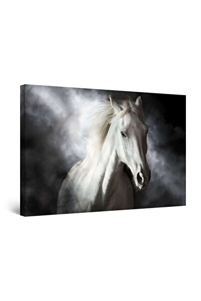 startonight Tablou DualView Startonight Cal Alb Pretios, 60 x 90cm