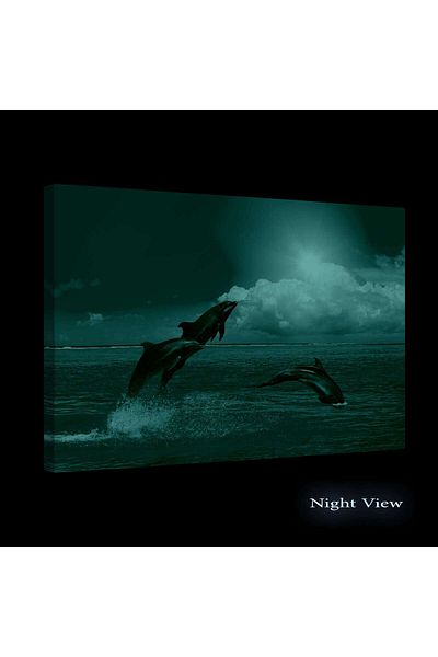 startonight DualView Startonight Three Dolphins Painting, 60 x 90cm