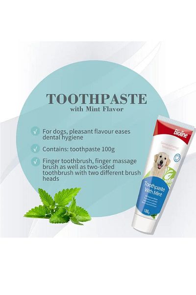 Bioline Bioline Dental Care Set for Pets - 100g Mint Flavor Oral Hygiene Kit
