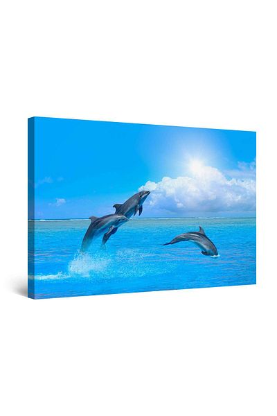 startonight DualView Startonight Three Dolphins Painting, 60 x 90cm