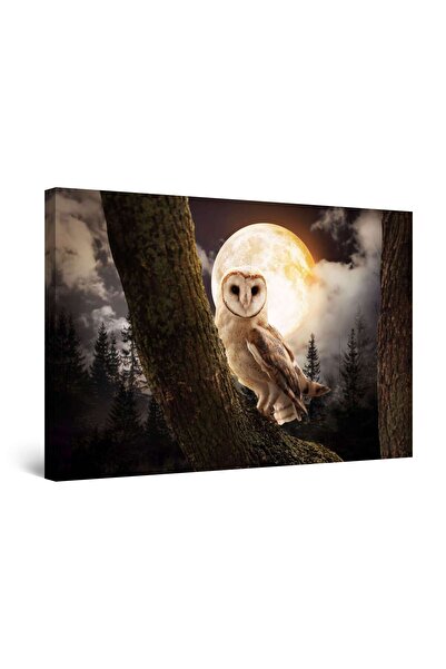 startonight Tablou DualView Startonight Bufnita si Luna, 60 x 90cm