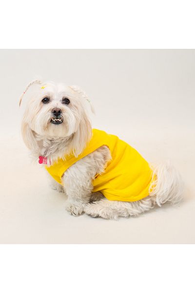 Buddy Store Cat & Dog Clothing Clothes - Printed Yellow Undershirt (Combed 100% Cotton)
