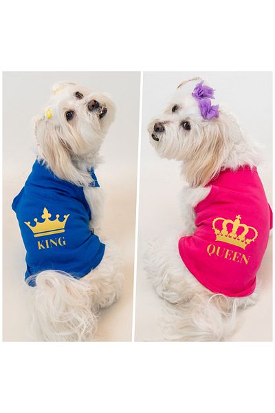 Buddy Store Cat & Dog Outfit Clothes Apparel - Saks Blue and Pink King Queen Printed Tank Tops 2 Pack