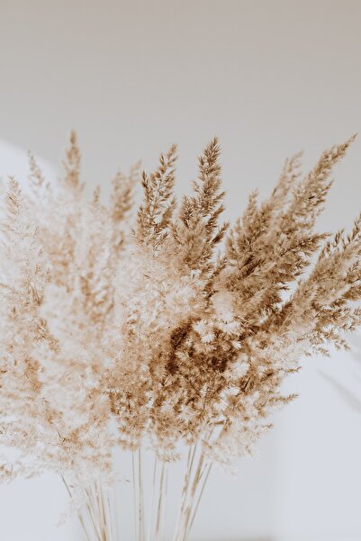 Harikabirev HARİKABİREV|SONBAHAR KURU BİTKİLER KOMBİNİ (AUTUMN)|ÇERÇEVELİ CAM TABLO 2Lİ DİKEY