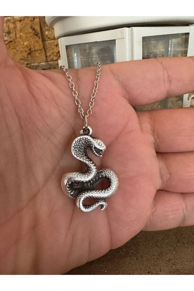 Herşey Nota Unisex Necklace with Cobra Snake Figure – 60 cm Chain, Power and Protection Themed Design