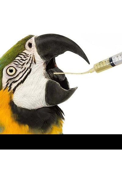Others 5ml Feeding Syringe for Small Pets