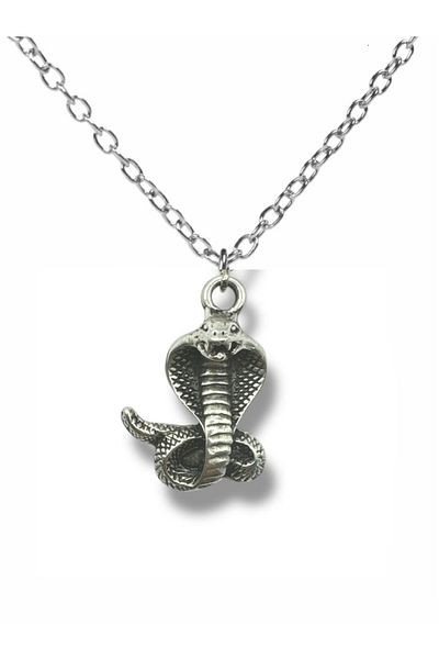 Herşey Nota Unisex Necklace with Cobra Figure – 60 cm Chain, Power and Protection Themed Design