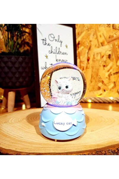 hediyesahibi Sevimli Kedi Renk Değiştiren Işıklı Müzikli Kar Küresi Arkadaşa ...