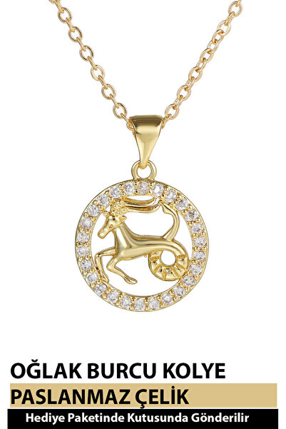 Nehir 12 Burç Sembolü Zirkon Taşlı Zarif Kadın Paslanmaz Altın Kaplama Çelik Burç Kolye