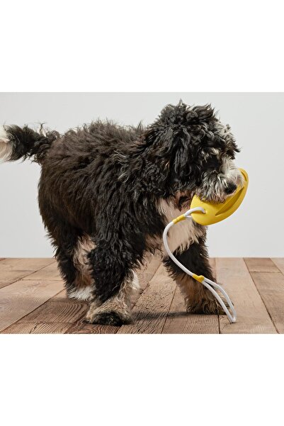 Tchibo Throwing and Water Toy for Dogs