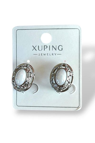 TAKIŞTIR Silver Color Stone Detailed Steel Xuping Earrings (Pair)