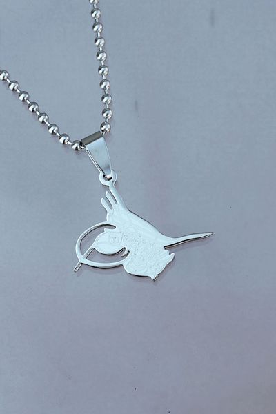 Clariss Silver Color Chain Necklace with Steel Tip Tuğra Design