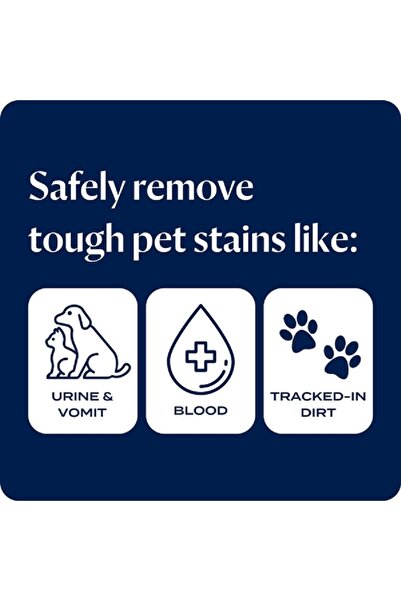 Bissell 2-In-1 Wash and Remove Antibacterial Carpet Cleaner 1.25 Liter