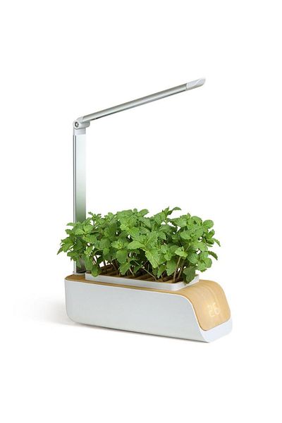 KARAKER Mini hydroponic system with water shortage alarm and multi-color lighting